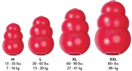 Kong Classic
