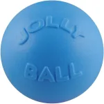 Pelota De Bote Jolly Pets, 8 Pulgadas