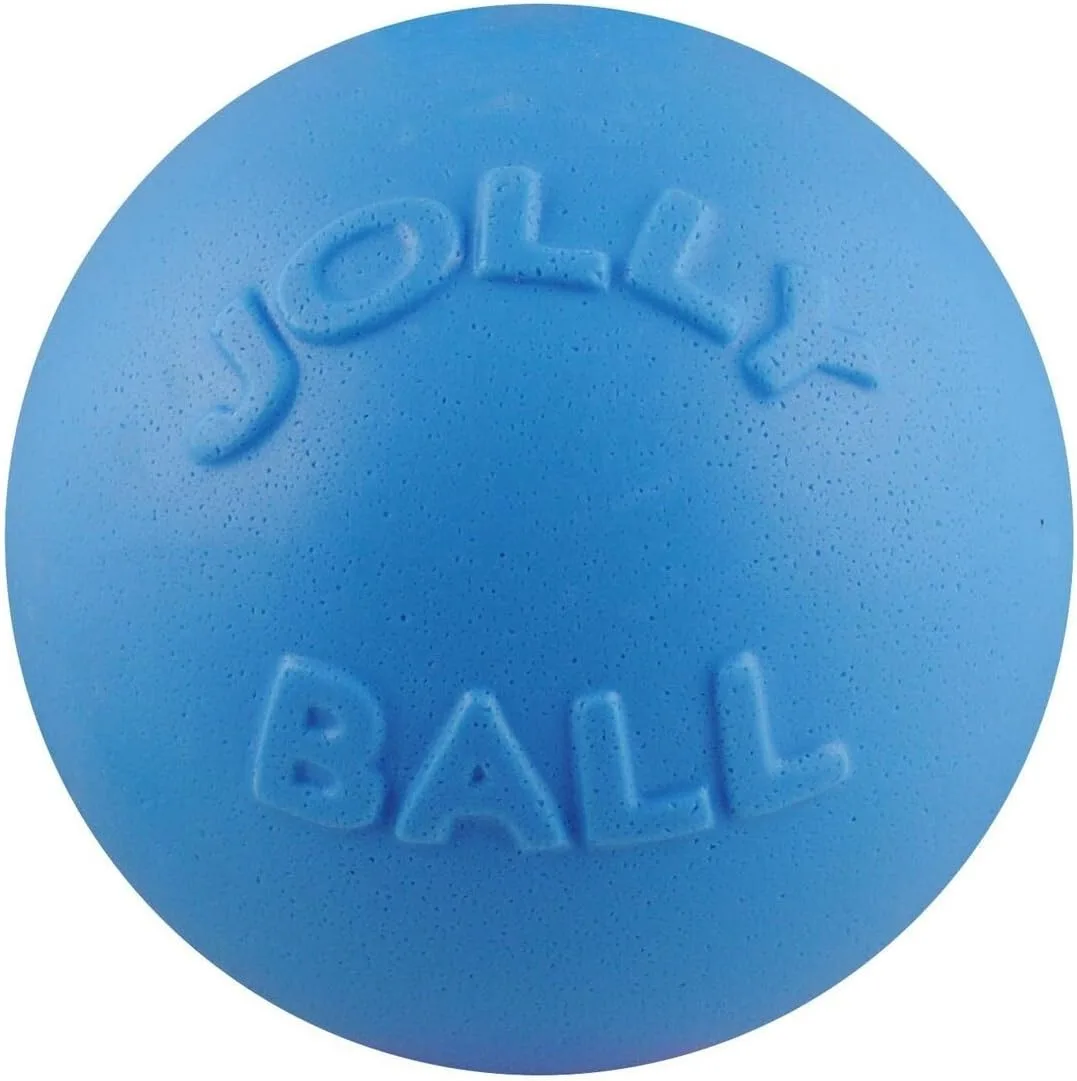 Pelota De Bote Jolly Pets, 8 Pulgadas