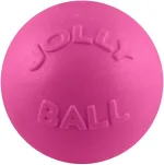 Pelota De Bote Jolly Pets, 8 Pulgadas