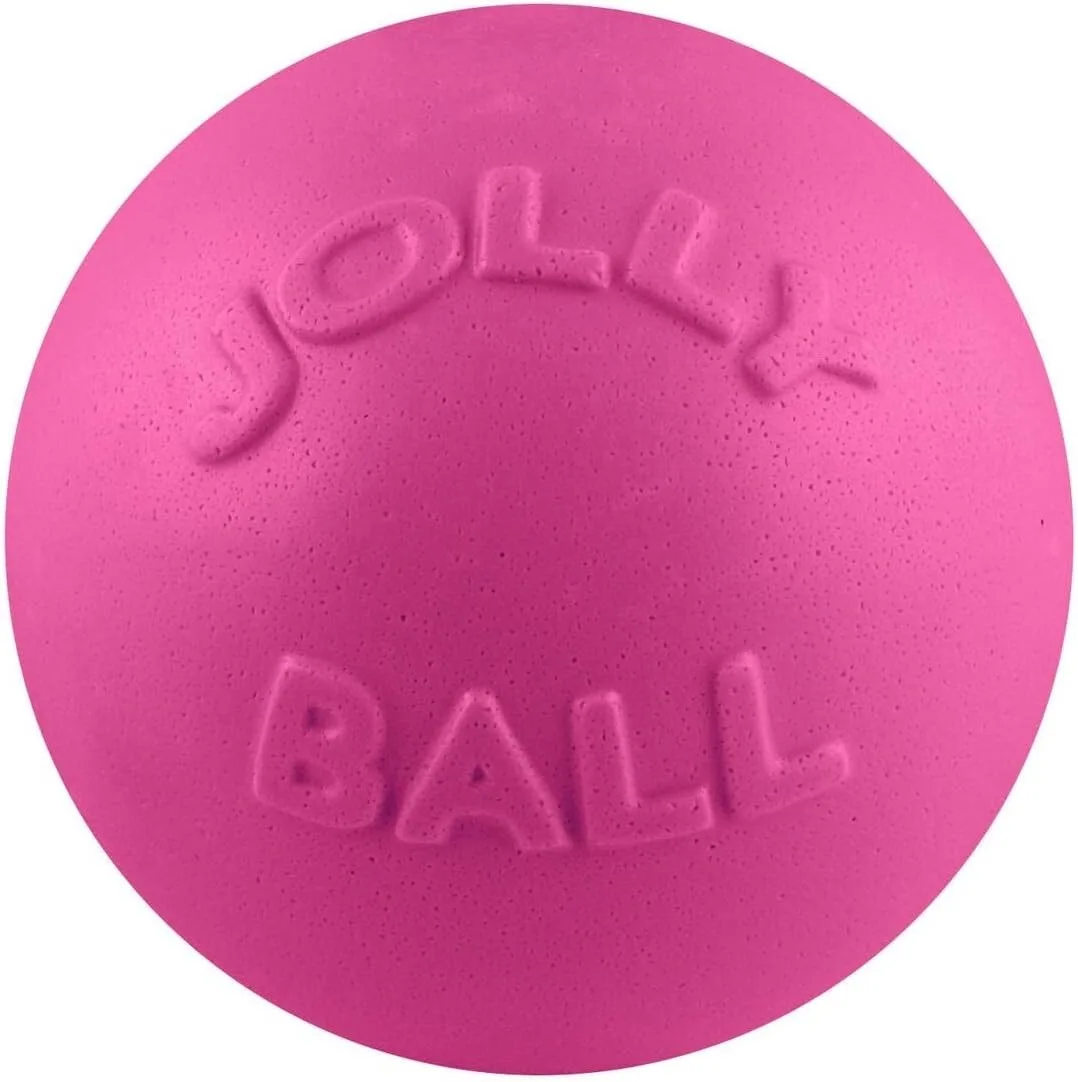 Pelota De Bote Jolly Pets, 8 Pulgadas