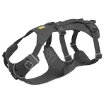 Arnes Ruffwear Flagline