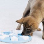 Comedero Puzzle Smart Azul Nina Ottosson N1